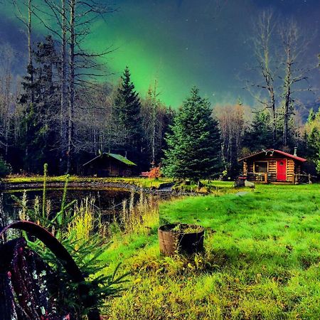 Hope Alaska'S Bear Creek Lodge 外观 照片