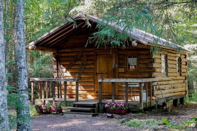 Hope Alaska'S Bear Creek Lodge 外观 照片