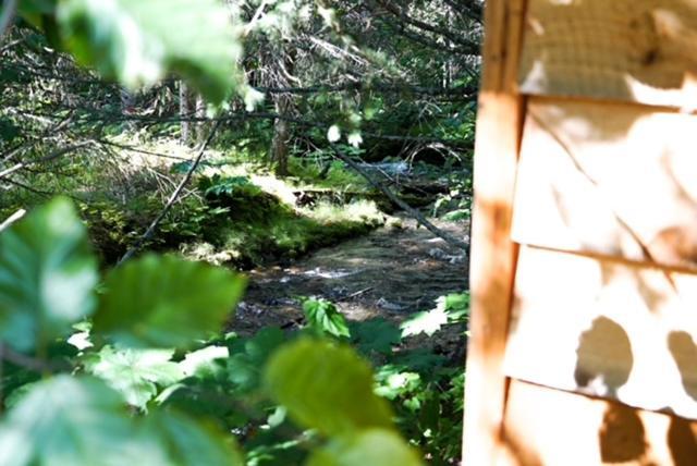 Hope Alaska'S Bear Creek Lodge 外观 照片