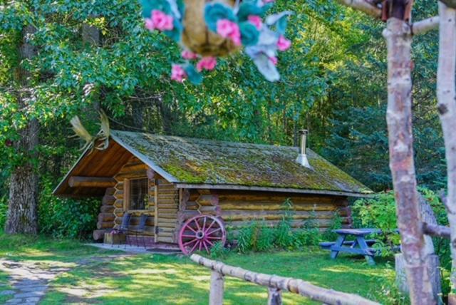 Hope Alaska'S Bear Creek Lodge 外观 照片